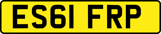 ES61FRP