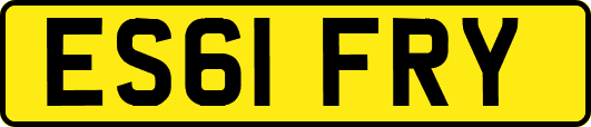 ES61FRY