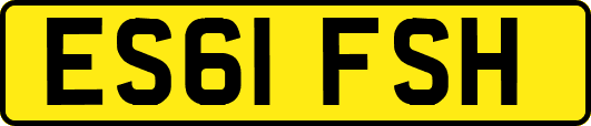 ES61FSH