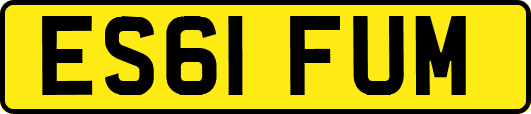ES61FUM
