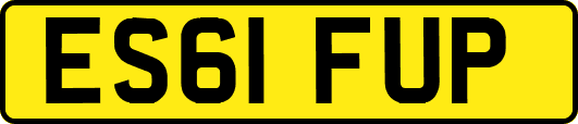 ES61FUP