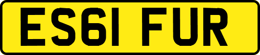 ES61FUR