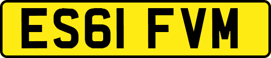 ES61FVM