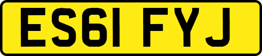 ES61FYJ