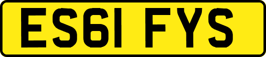 ES61FYS