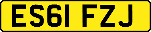 ES61FZJ