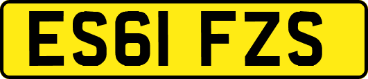 ES61FZS