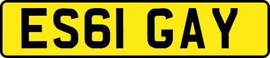 ES61GAY