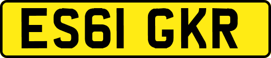 ES61GKR