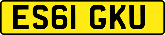 ES61GKU