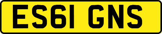 ES61GNS