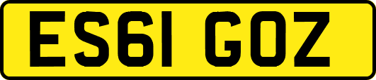 ES61GOZ