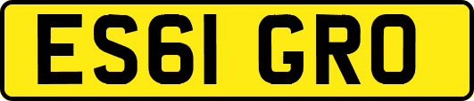 ES61GRO