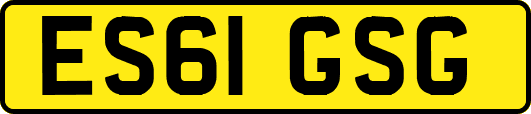 ES61GSG