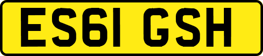 ES61GSH