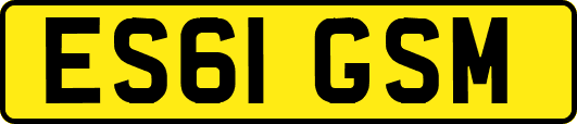 ES61GSM