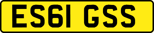 ES61GSS