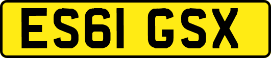 ES61GSX