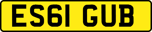 ES61GUB