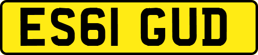 ES61GUD