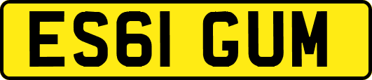 ES61GUM