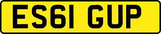 ES61GUP