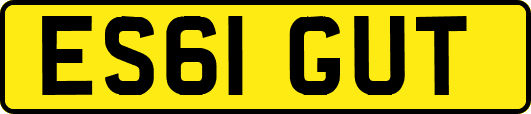 ES61GUT