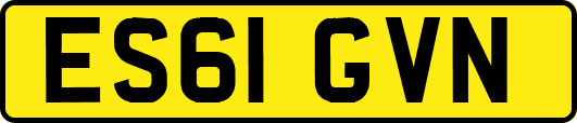 ES61GVN