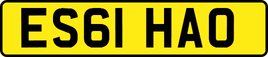 ES61HAO