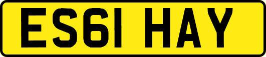 ES61HAY
