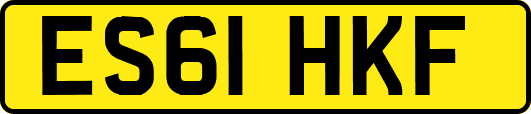 ES61HKF