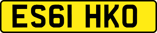 ES61HKO