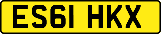 ES61HKX