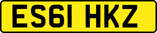 ES61HKZ