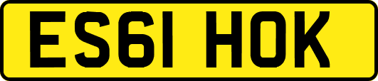 ES61HOK