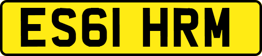 ES61HRM