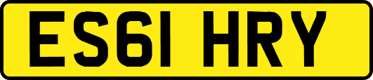 ES61HRY