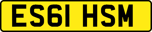 ES61HSM