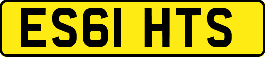 ES61HTS