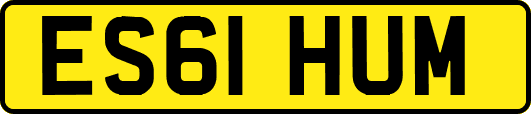 ES61HUM