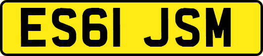 ES61JSM