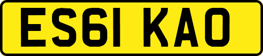 ES61KAO