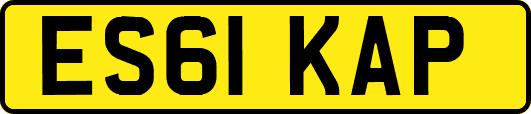 ES61KAP
