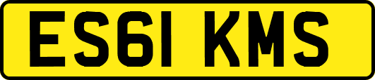 ES61KMS