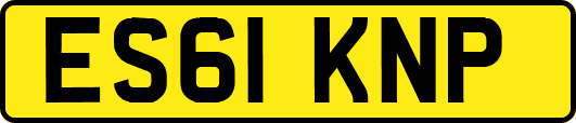 ES61KNP