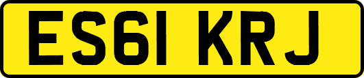 ES61KRJ