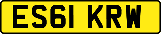 ES61KRW