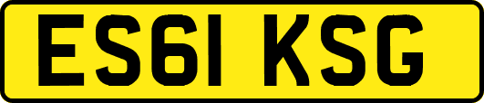 ES61KSG
