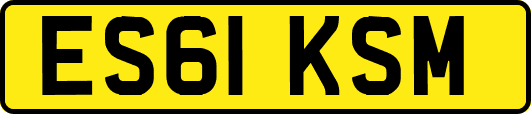 ES61KSM