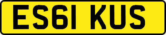 ES61KUS